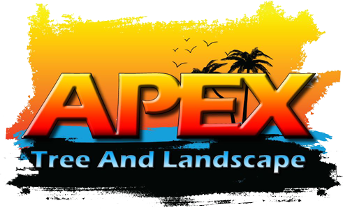 Apex Tree And Landscape Logo